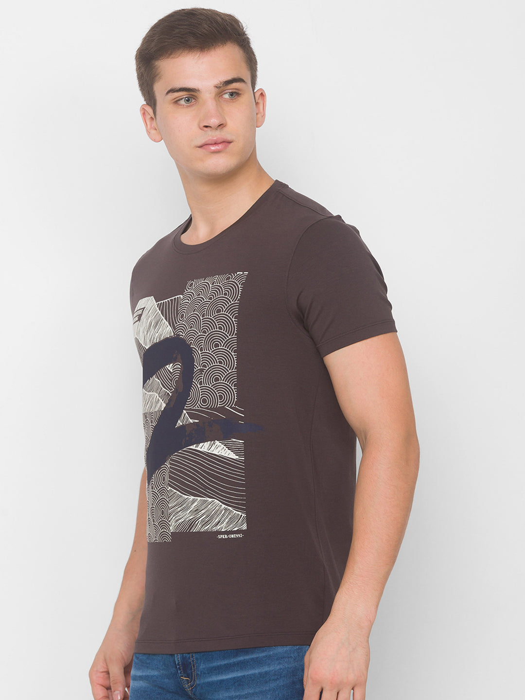 Spykar Men Grey Cotton Slim Fit Round Neck T-Shirt