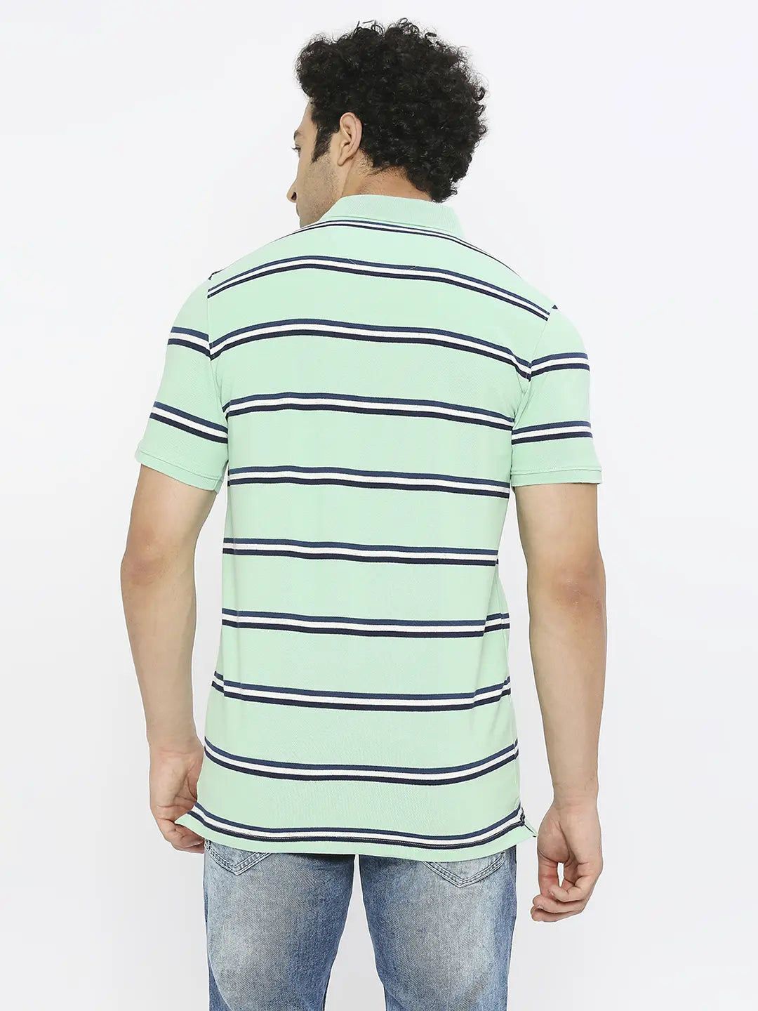 Spykar Men Dusty Ice Green Blended Regular Fit Half Sleeve Striped Polo Tshirt