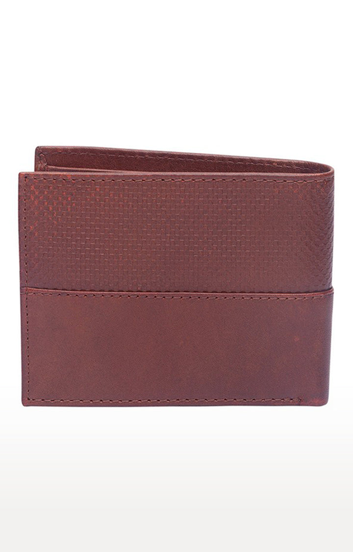 Spykar Men Brown Genuine Leather Wallet