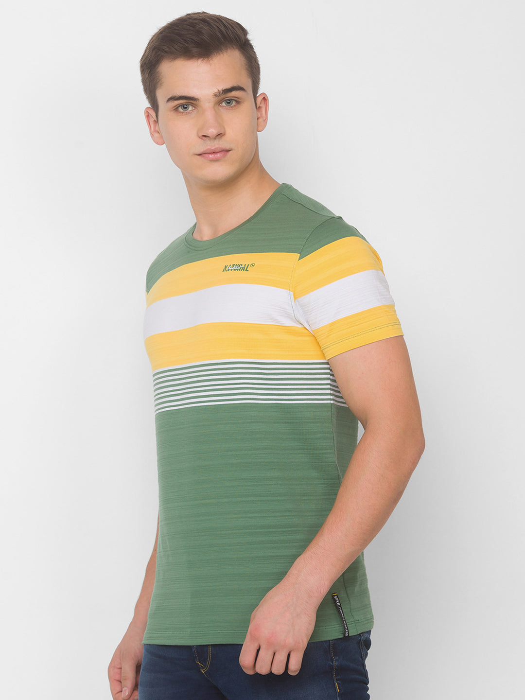 Spykar Men Green Cotton Slim Fit Round Neck T-Shirt