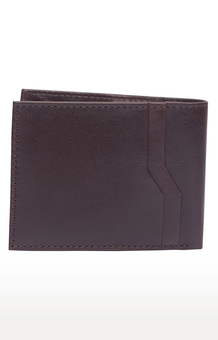 Spykar Men Brown Genuine Leather Wallet