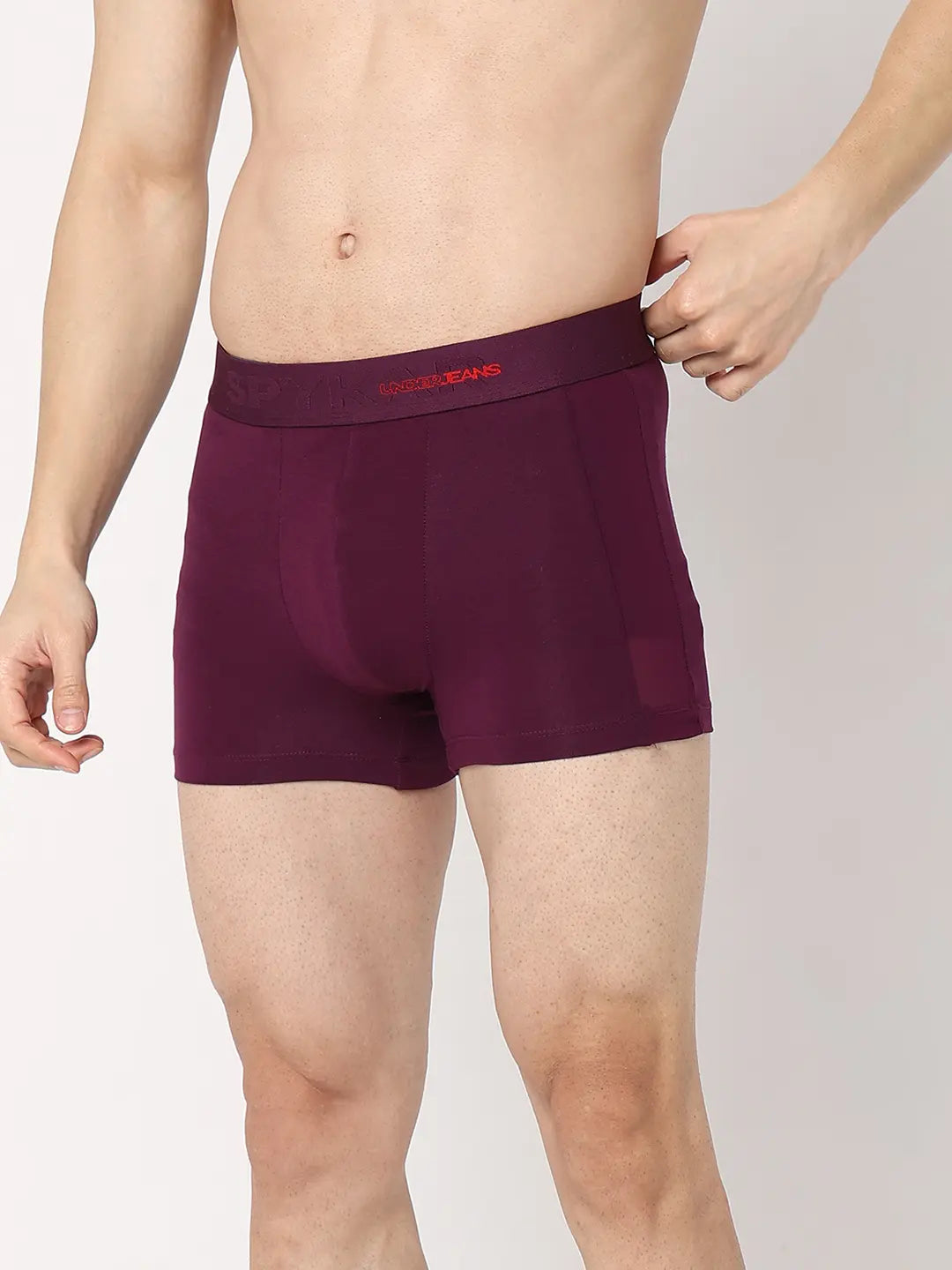 Underjeans by Spykar Men Premium Purple & White Cotton Blend Regular Fit Trunk - Pack Of 2