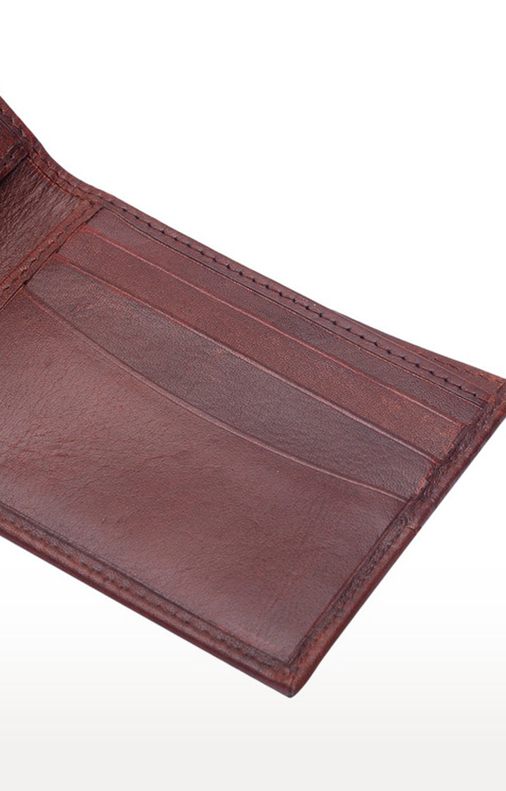 Spykar Men Brown Genuine Leather Wallet