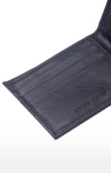 Spykar Men Grey Genuine Leather Wallet